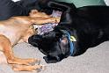 Sandy and Bas_08-05-17_0012